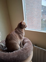 /album/198/whatsapp-image-2026-02-23-at-21-24-17-1-jpeg/